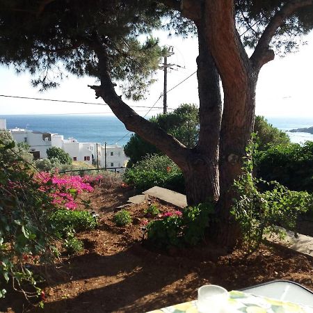 Grandpa Simos' Traditional Guest House Agios Romanos 外观 照片