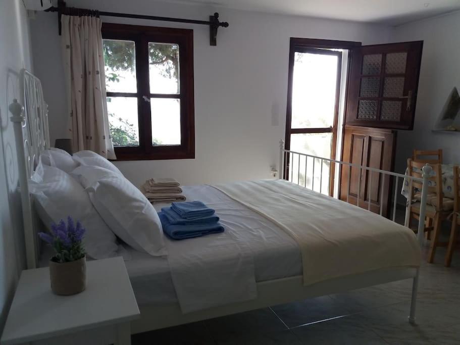 Grandpa Simos' Traditional Guest House Agios Romanos 外观 照片
