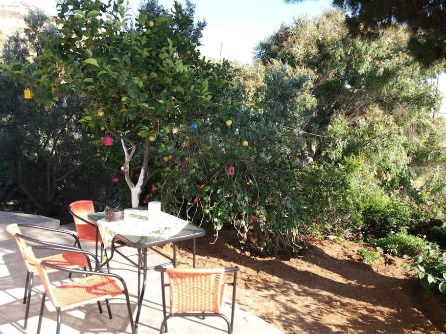 Grandpa Simos' Traditional Guest House Agios Romanos 外观 照片