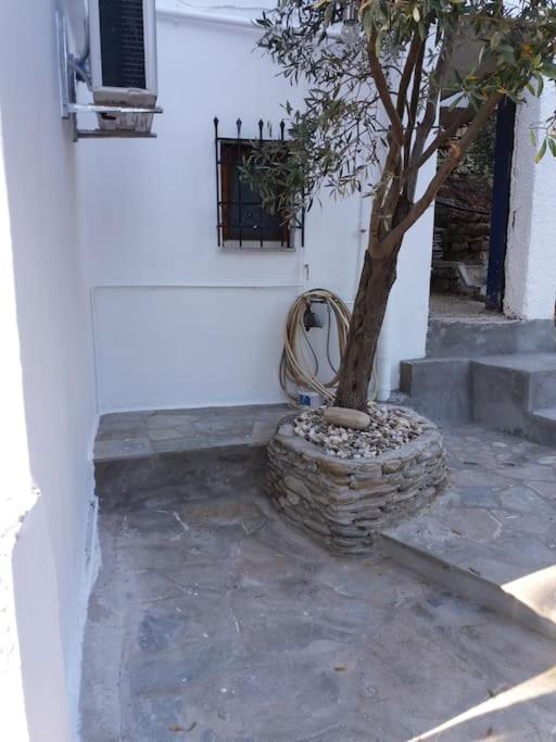 Grandpa Simos' Traditional Guest House Agios Romanos 外观 照片