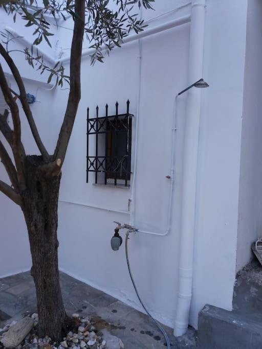 Grandpa Simos' Traditional Guest House Agios Romanos 外观 照片
