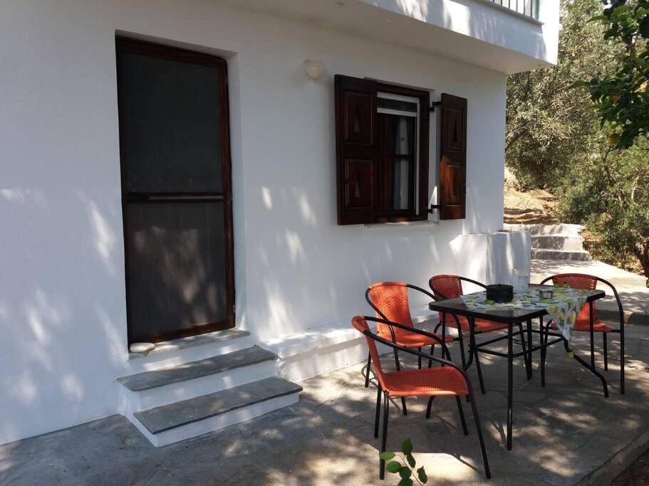 Grandpa Simos' Traditional Guest House Agios Romanos 外观 照片