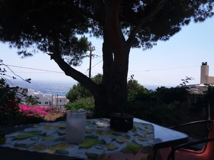 Grandpa Simos' Traditional Guest House Agios Romanos 外观 照片