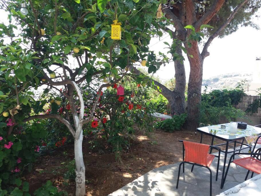 Grandpa Simos' Traditional Guest House Agios Romanos 外观 照片