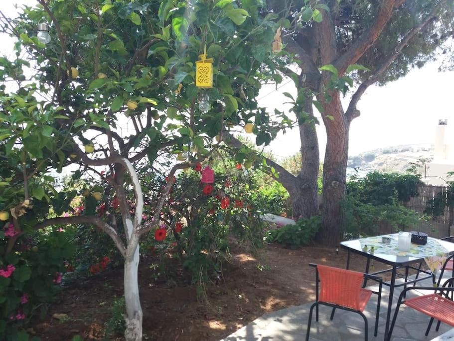 Grandpa Simos' Traditional Guest House Agios Romanos 外观 照片