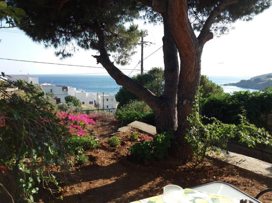 Grandpa Simos' Traditional Guest House Agios Romanos 外观 照片
