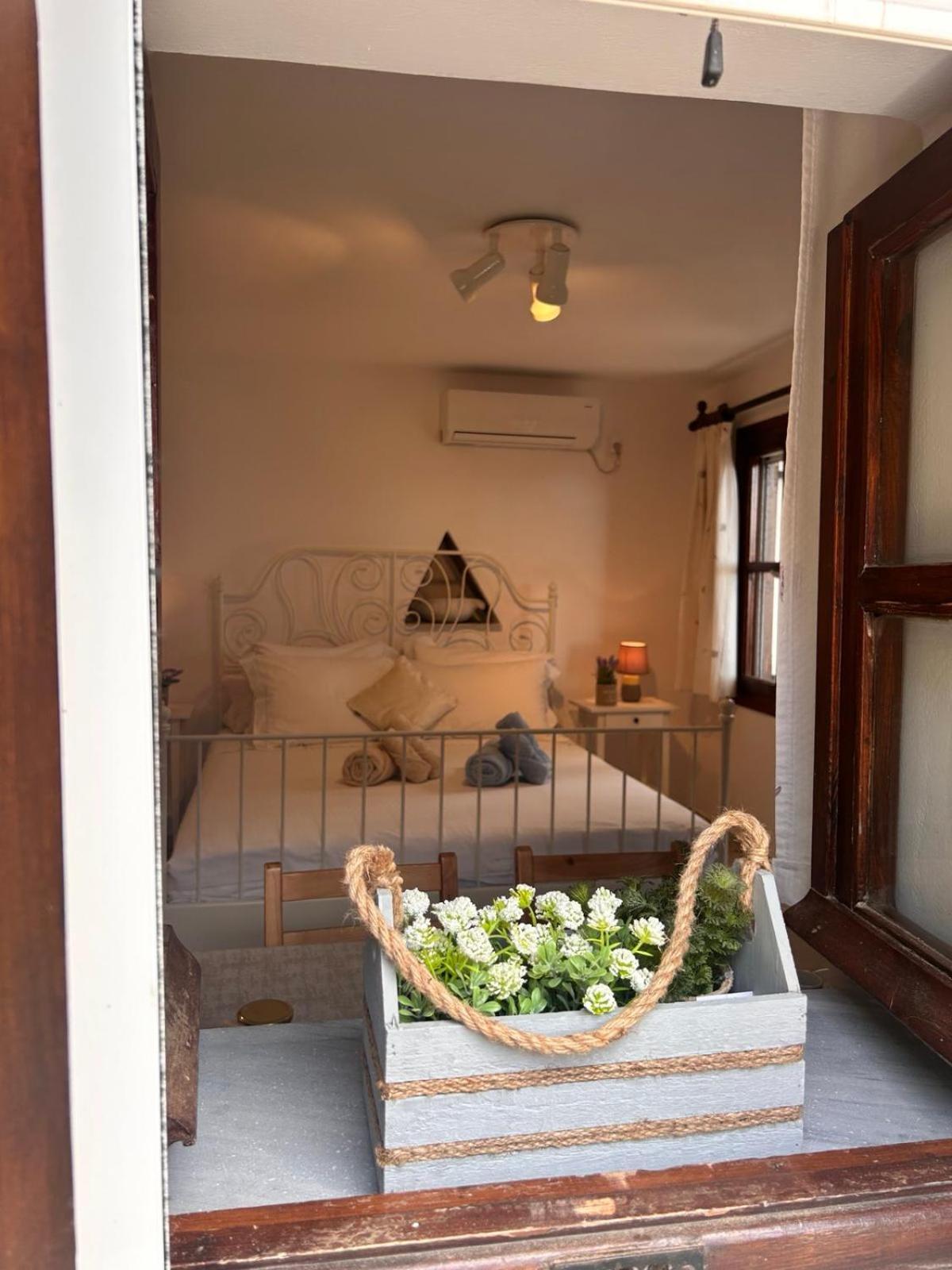 Grandpa Simos' Traditional Guest House Agios Romanos 外观 照片