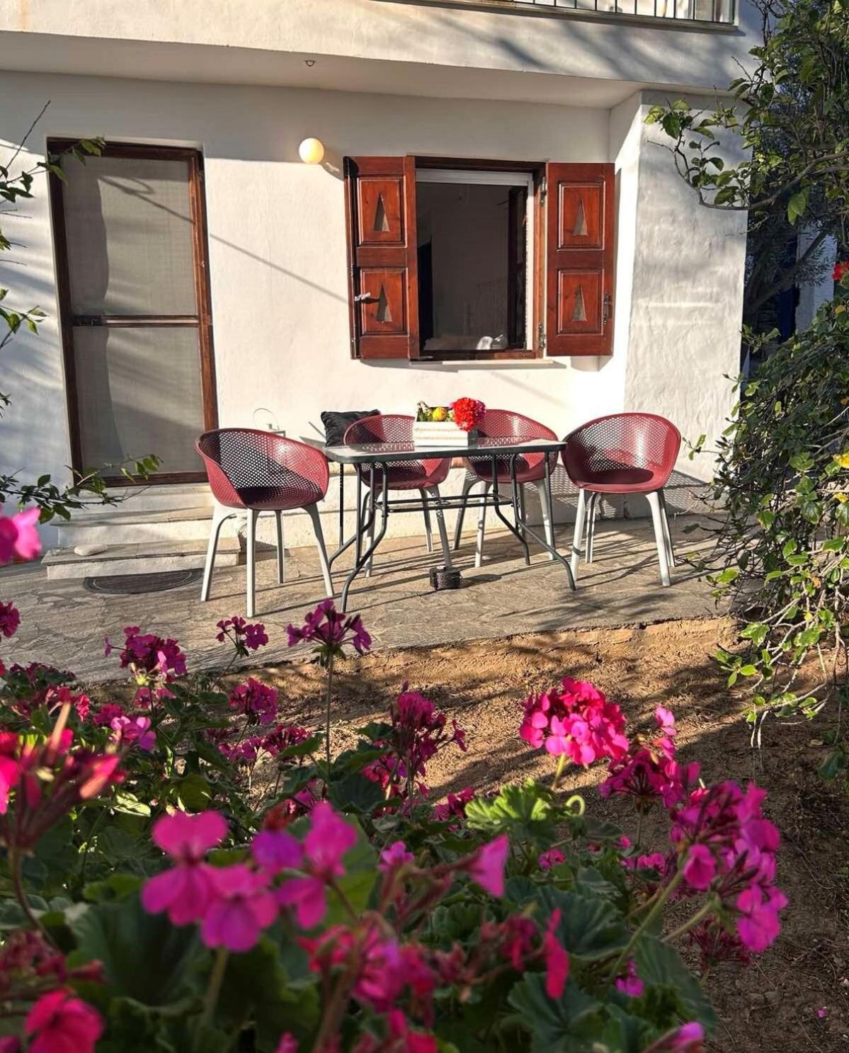 Grandpa Simos' Traditional Guest House Agios Romanos 外观 照片