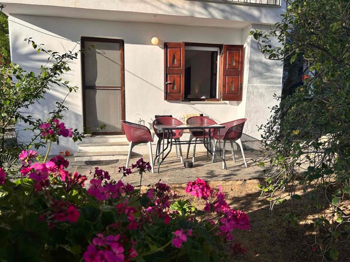Grandpa Simos' Traditional Guest House Agios Romanos 外观 照片