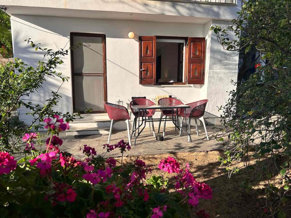 Grandpa Simos' Traditional Guest House Agios Romanos 外观 照片