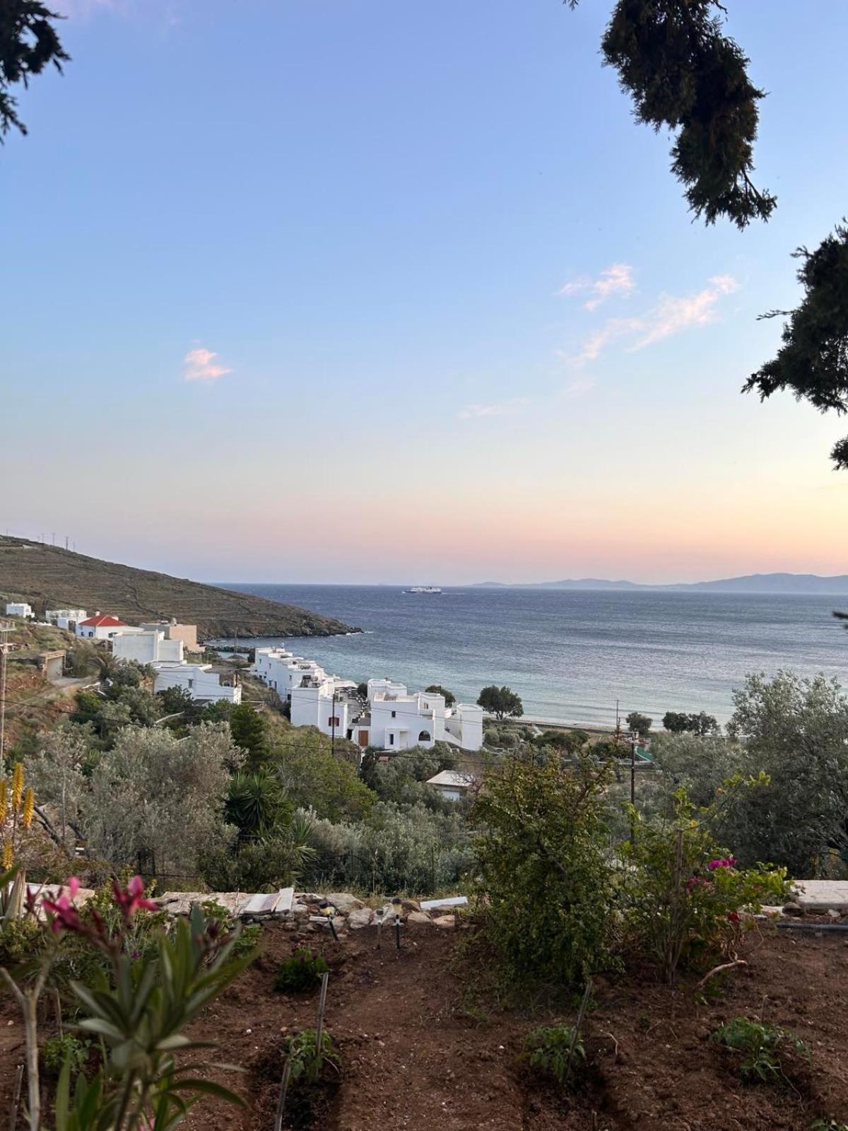 Grandpa Simos' Traditional Guest House Agios Romanos 外观 照片