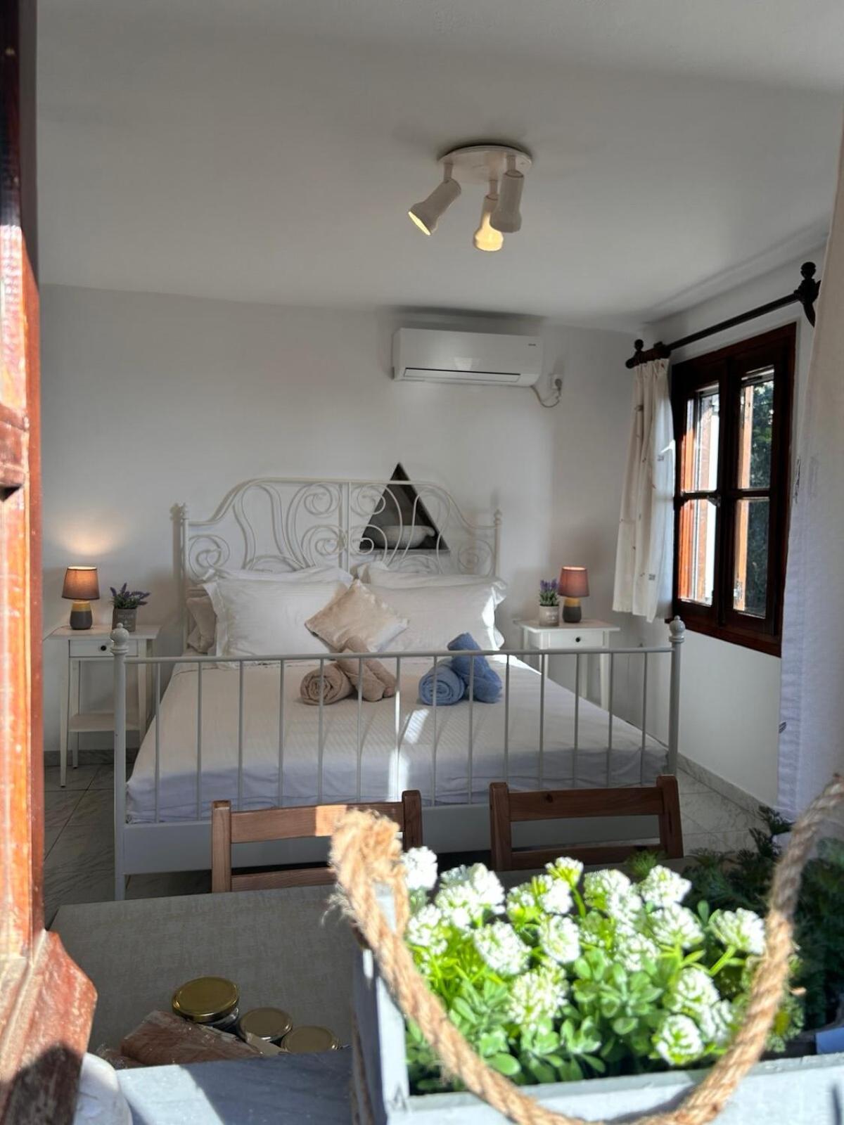 Grandpa Simos' Traditional Guest House Agios Romanos 外观 照片