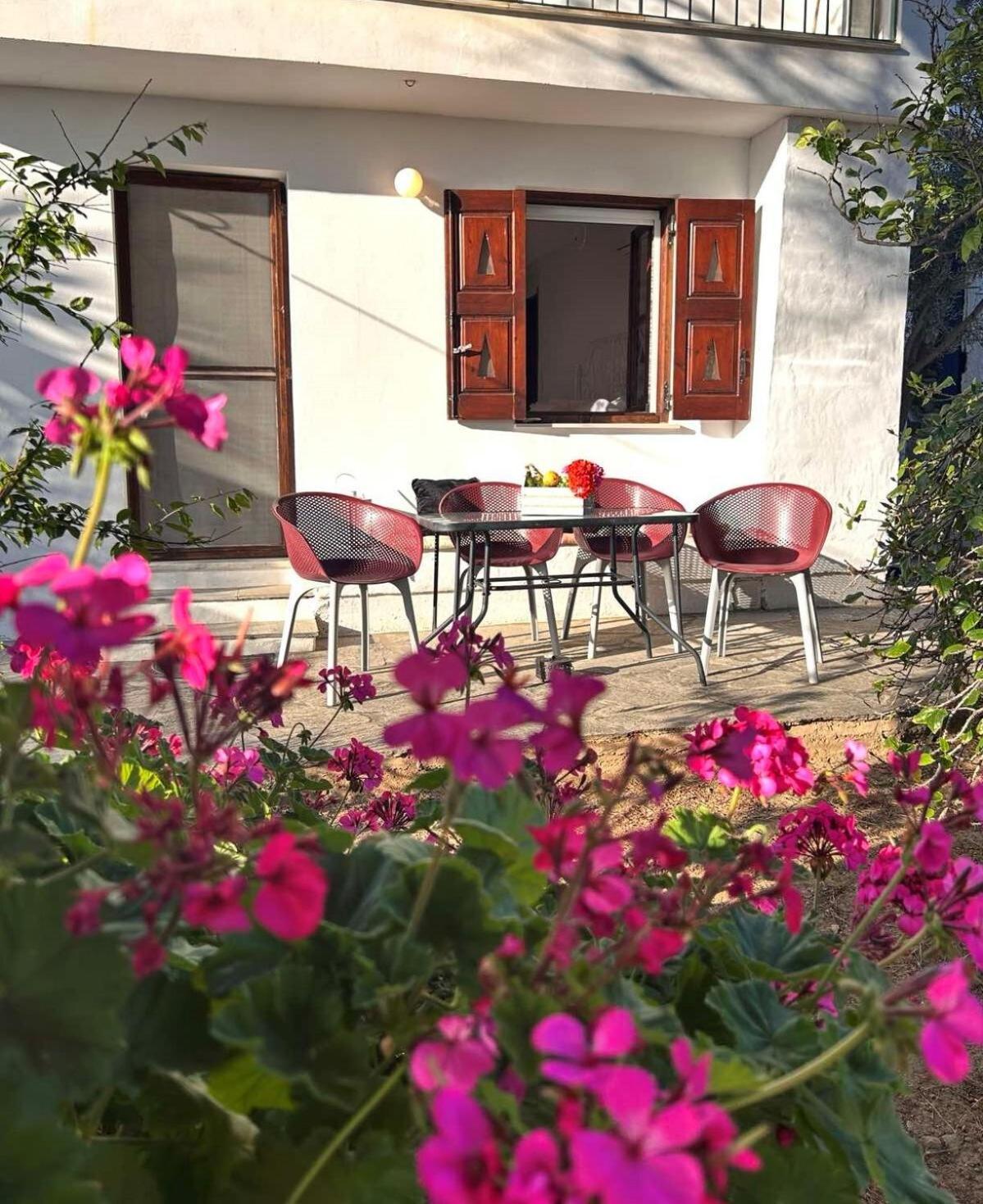 Grandpa Simos' Traditional Guest House Agios Romanos 外观 照片