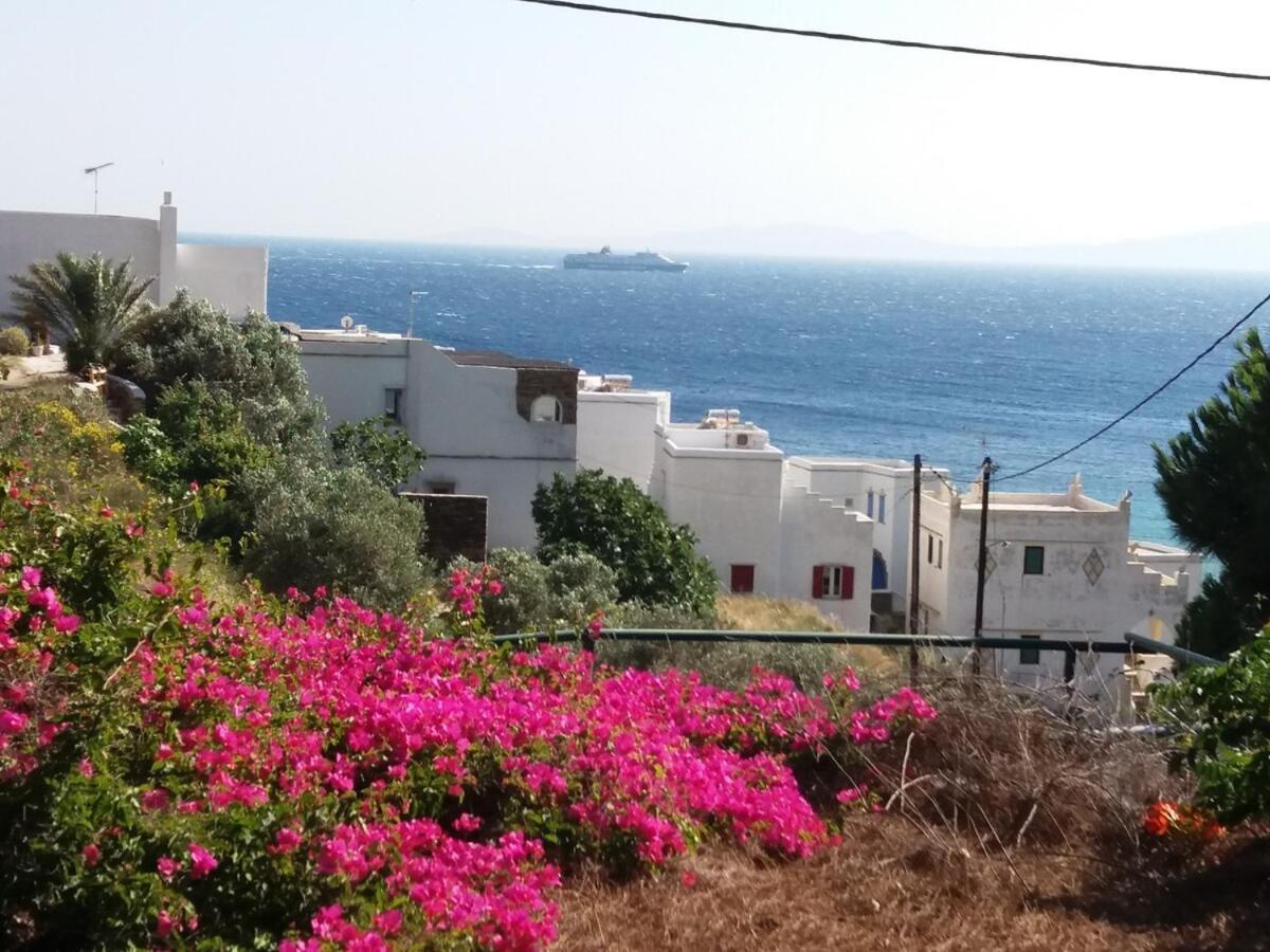 Grandpa Simos' Traditional Guest House Agios Romanos 外观 照片