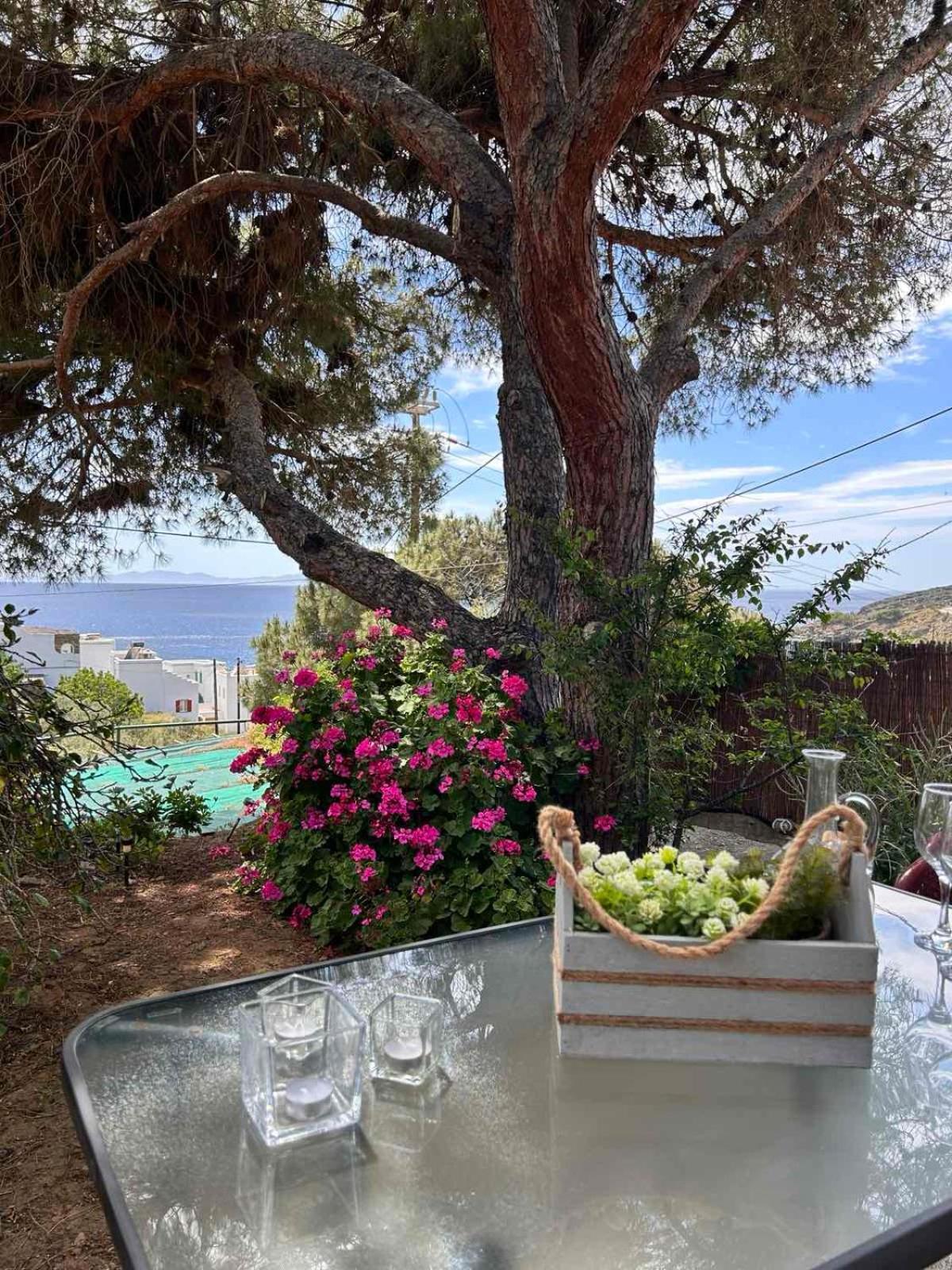 Grandpa Simos' Traditional Guest House Agios Romanos 外观 照片