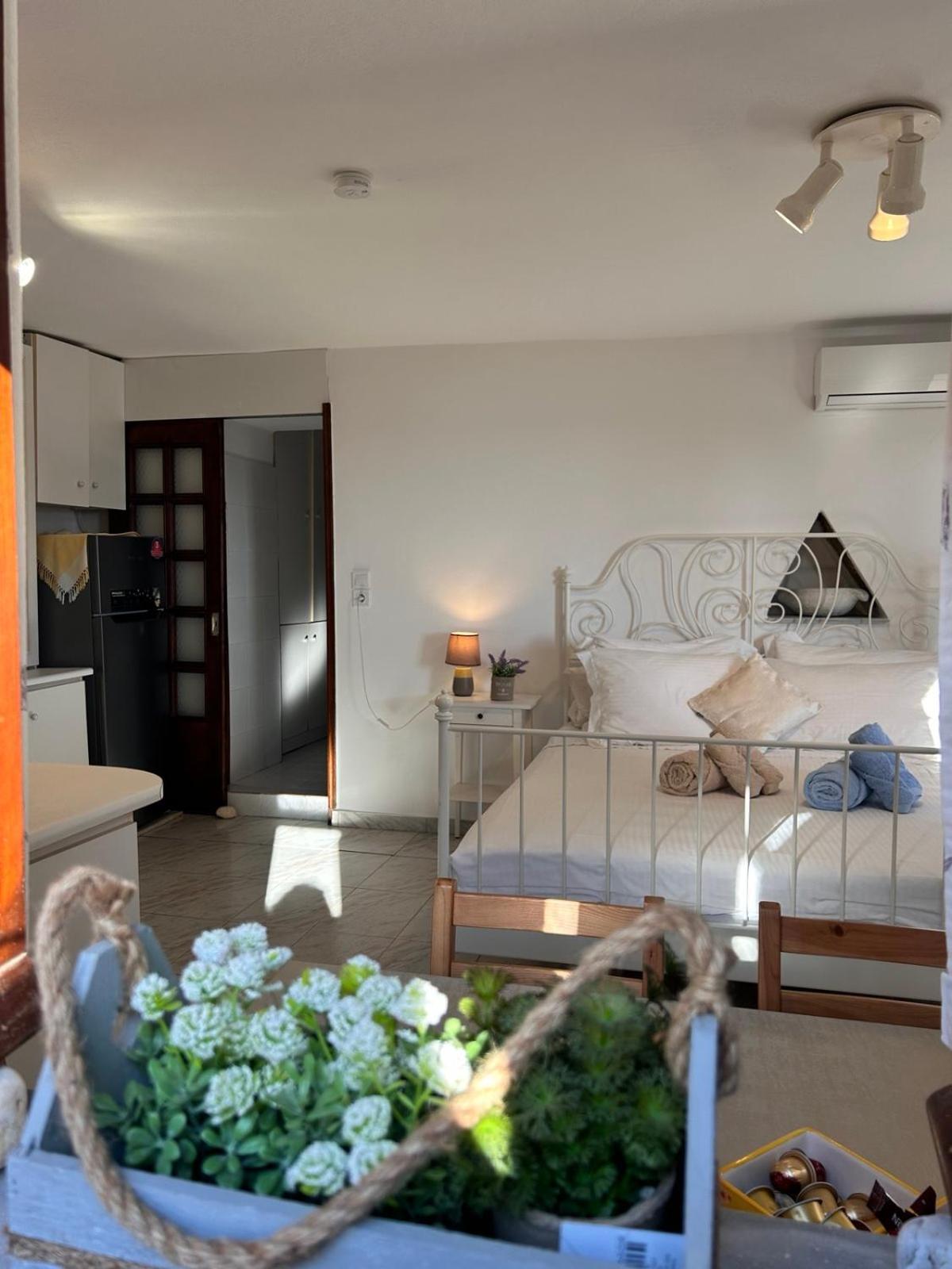 Grandpa Simos' Traditional Guest House Agios Romanos 外观 照片
