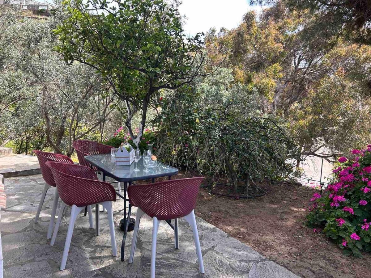 Grandpa Simos' Traditional Guest House Agios Romanos 外观 照片