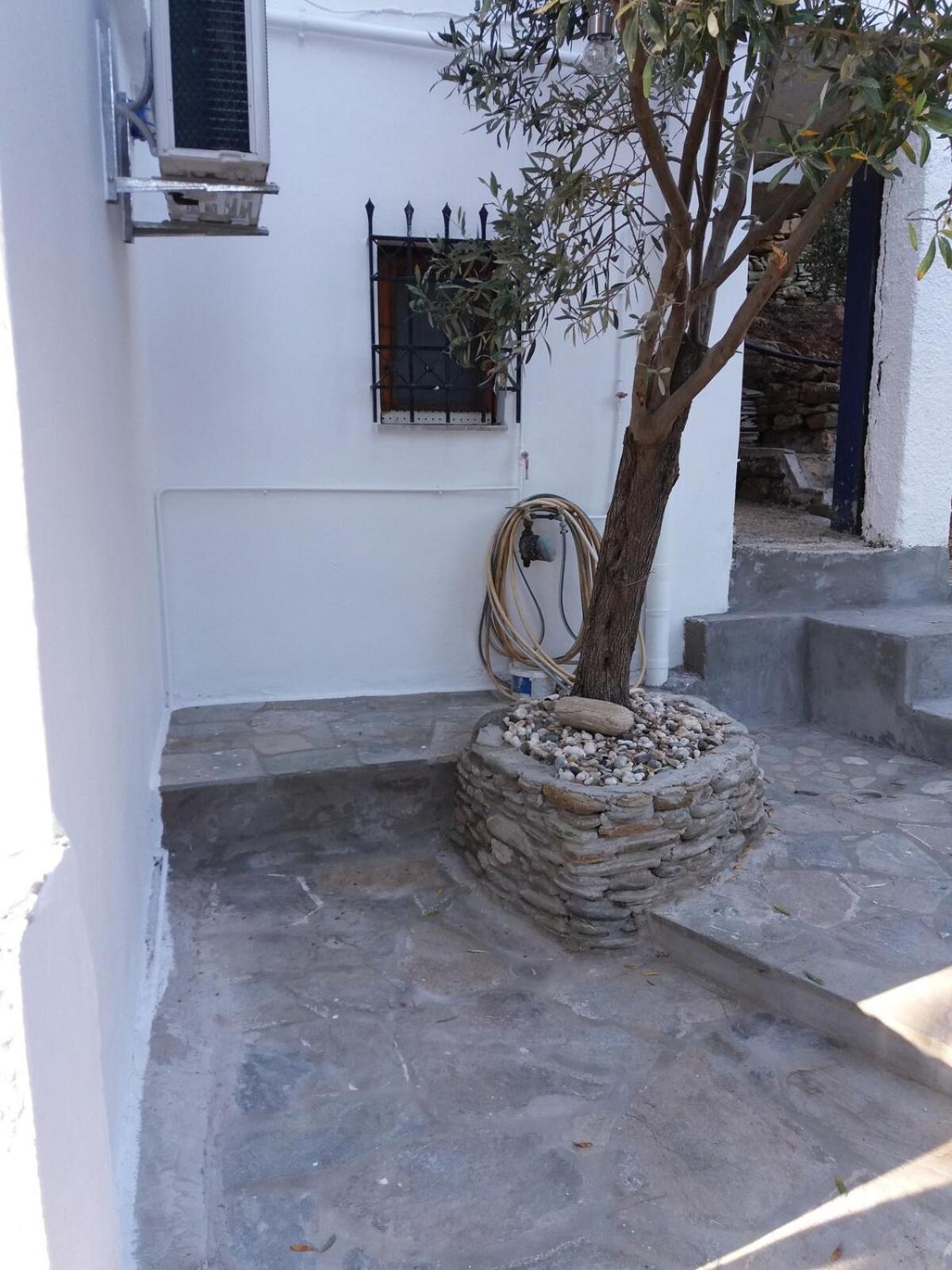 Grandpa Simos' Traditional Guest House Agios Romanos 外观 照片