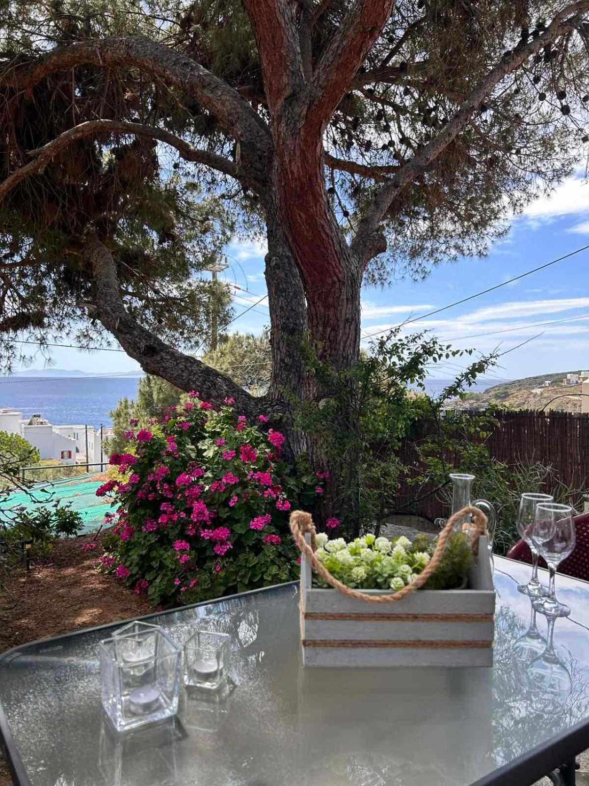 Grandpa Simos' Traditional Guest House Agios Romanos 外观 照片
