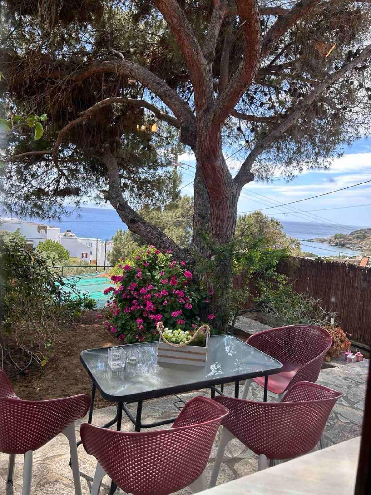 Grandpa Simos' Traditional Guest House Agios Romanos 外观 照片